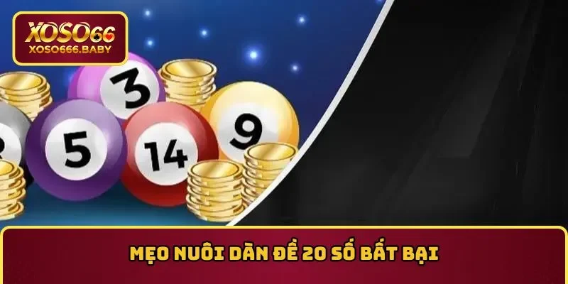 Mẹo nuôi dàn 20 số bạn cần biết