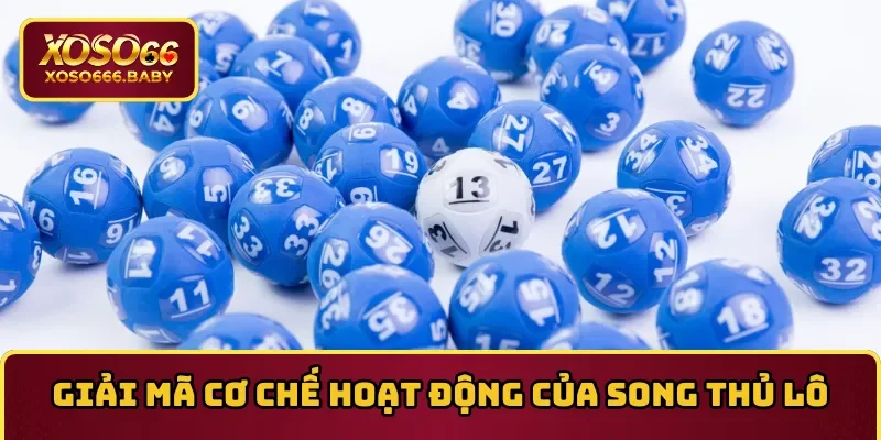 Giải mã cơ chế hoạt động của song thủ lô