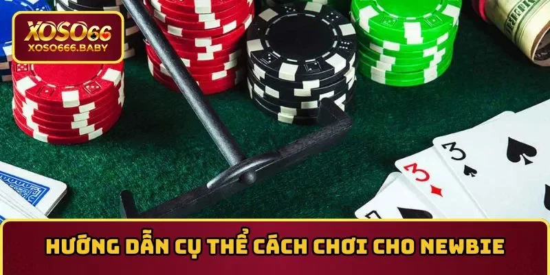 Hướng dẫn cụ thể cách chơi cho newbie