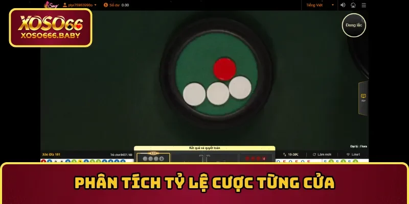 Phân tích tỷ lệ cược từng cửa